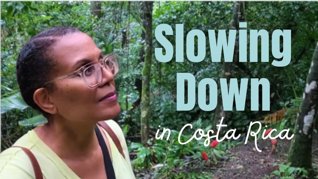 Finding Peace in the Rainforest: A Mindful Journey